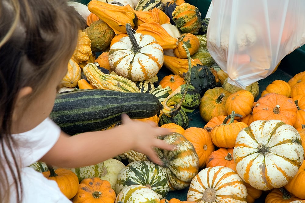 Girl touching a gourd